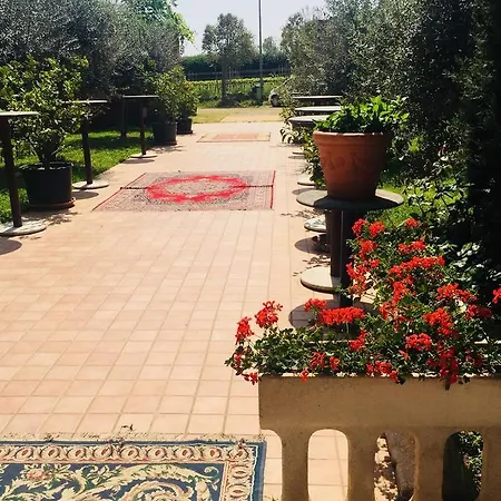 Mulino Bianco *