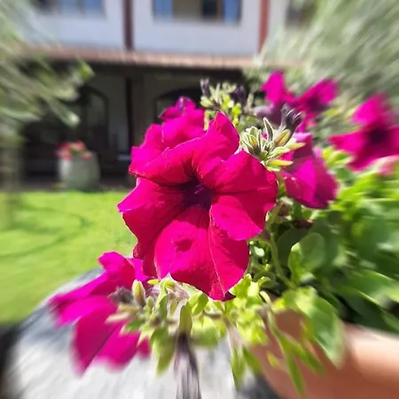 Alloggio per agriturismo Mulino Bianco Lonato